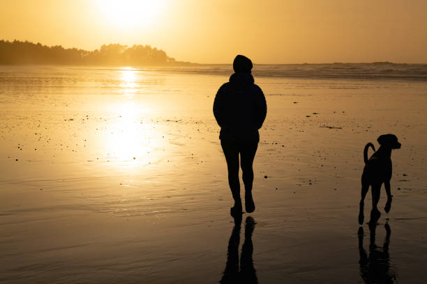 istock Woman walks dog on beach at sunset 2177459226