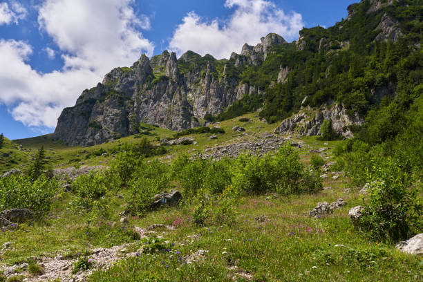 istock Mountain landscape in the summer 2177459745