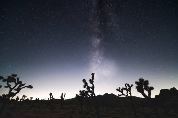 Milky way in the night sky at Joshua Tree National Park near Palm Springs, California.