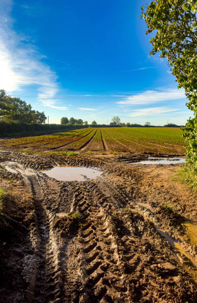 Wet winter turned farm tracks to sludge and mud