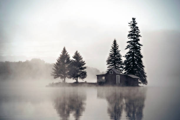 istock Misty morning over the lake 2177472679