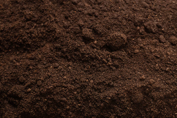 istock Black land for plant background. Top view. 2177473364