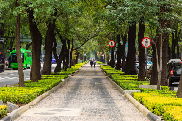 Bicycle and pedestrian path on Reforma Avenue, Mexico City, passing through Chapultepec Park