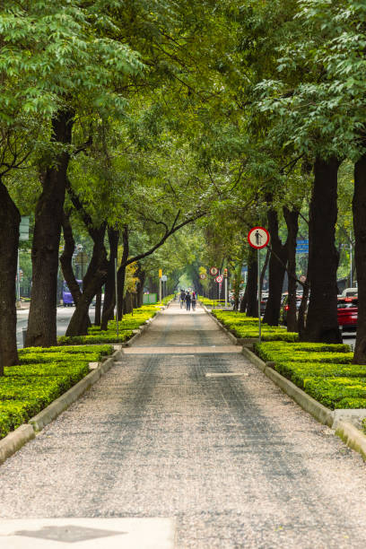istock Bicycle and pedestrian path on Mexico City 2177475064