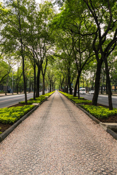 istock Bicycle and pedestrian path on Mexico City 2177475150