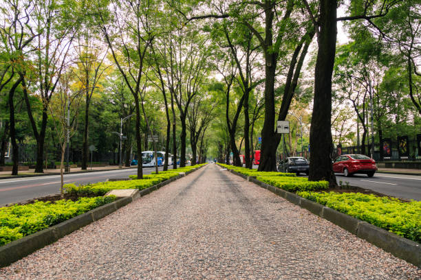 istock Bicycle and pedestrian path on Mexico City 2177475246