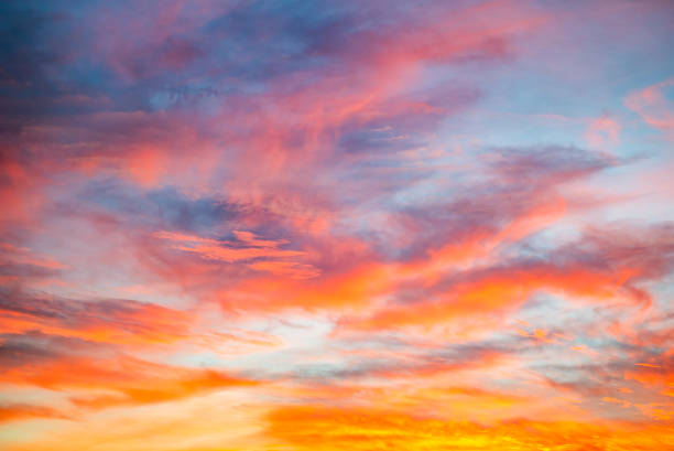 istock Gasparilla Island Florida Beach Sunset 2177486861