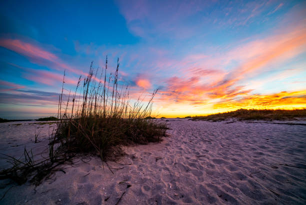 istock Gasparilla Island Florida Beach Sunset 2177486863