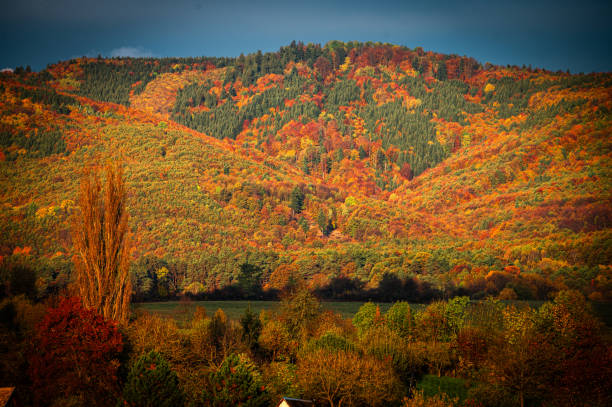 Rural Life in the Carpathians Amidst Stunning Fall Colors