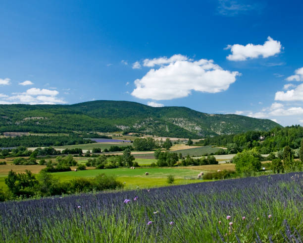 istock French Countryside in the Luberon 2177488148