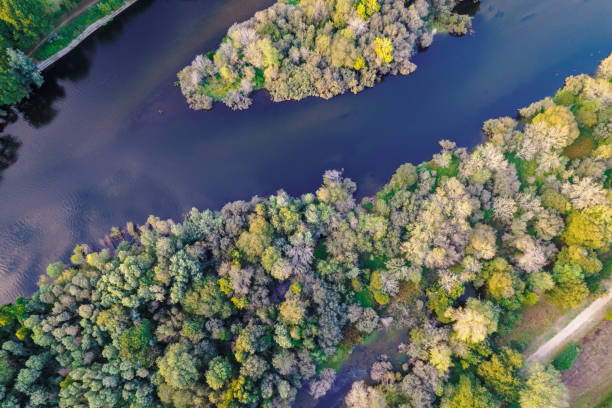 istock lima river bed near Ponte de Lima in september, aerial view with drone 2177488811