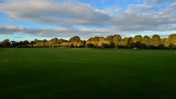 istock Serene Green Field Under Partly Cloudy Sky 2177489453