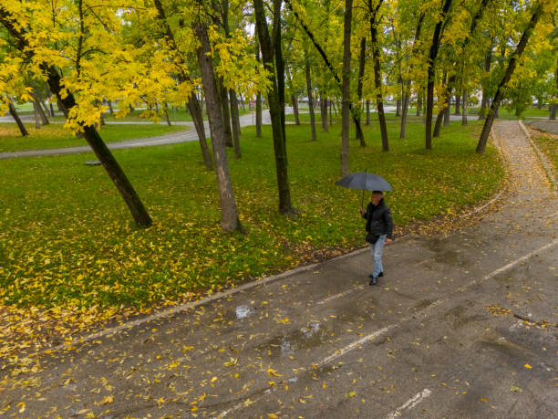 Man walk in the wet city  streets carrying umbrella to protect from bad weather, falling rain