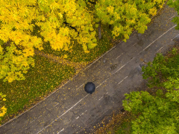 Autumn landscape with asphalt road. Empty space