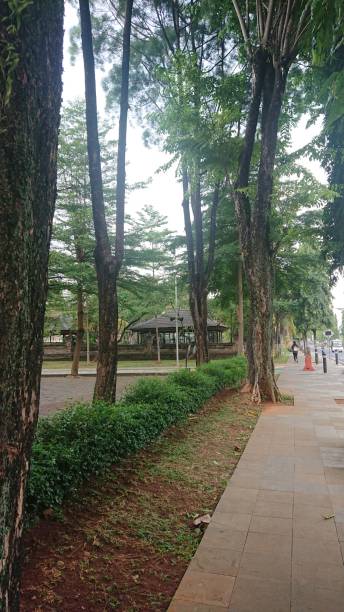 istock Urban Park Walkway with Trees and Sidewalk 2177493619