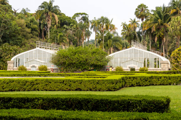 istock Botanical Garden in Sao Paulo, featuring lush greenery and tranquil pathways. 2177501676