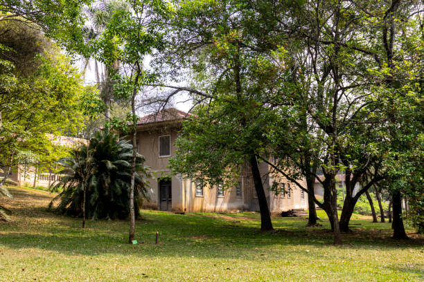 istock Botanical Garden in Sao Paulo, featuring lush greenery and tranquil pathways. 2177501732