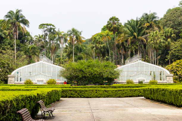 istock Botanical Garden in Sao Paulo, featuring lush greenery and tranquil pathways. 2177501734