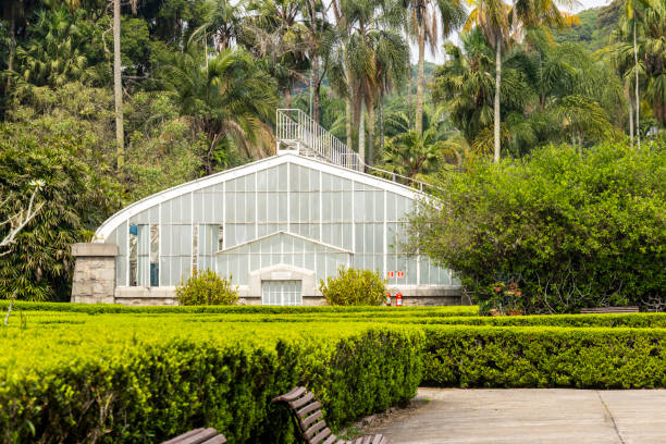 istock Botanical Garden in Sao Paulo, featuring lush greenery and tranquil pathways. 2177501744