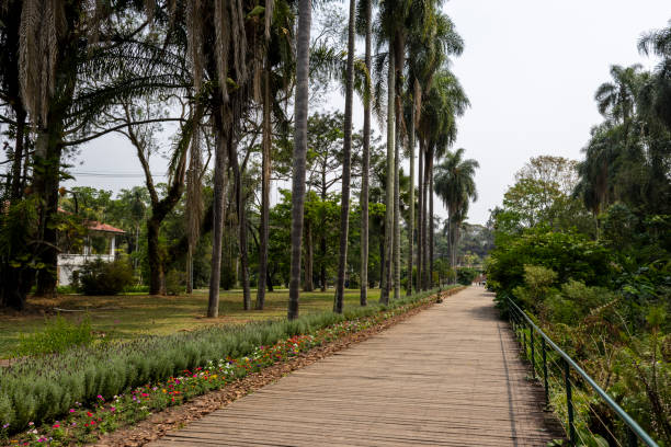 Visitors stroll along well-maintained paths in the Botanical Garden of São Paulo, surrounded by vibrant plants and elegant greenhouses under a clear sky.