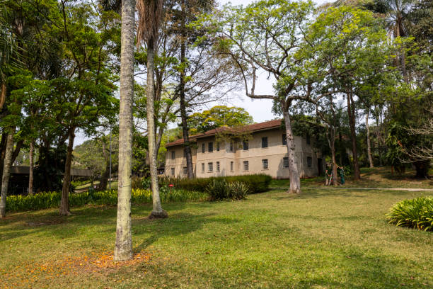 istock Botanical Garden in Sao Paulo, featuring lush greenery and tranquil pathways. 2177501877