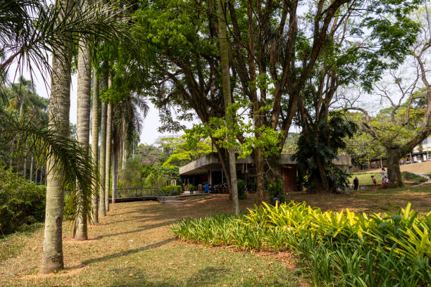 istock Botanical Garden in Sao Paulo, featuring lush greenery and tranquil pathways. 2177501879