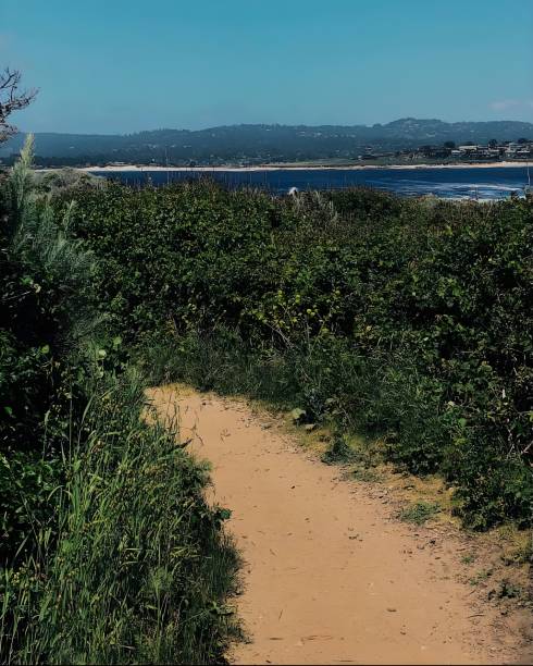 istock Trail to the ocean 2177507948