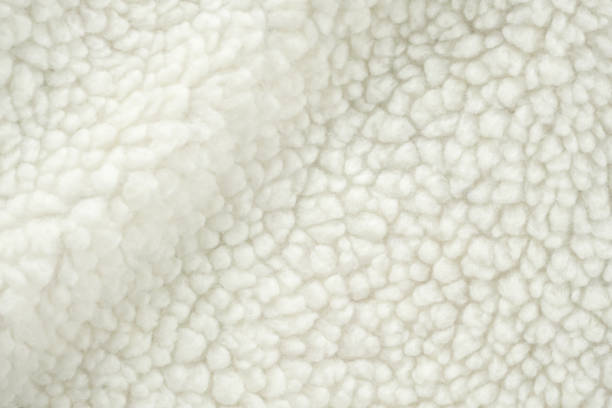 istock Wool plush fleece fur fabric texture background 2177508009