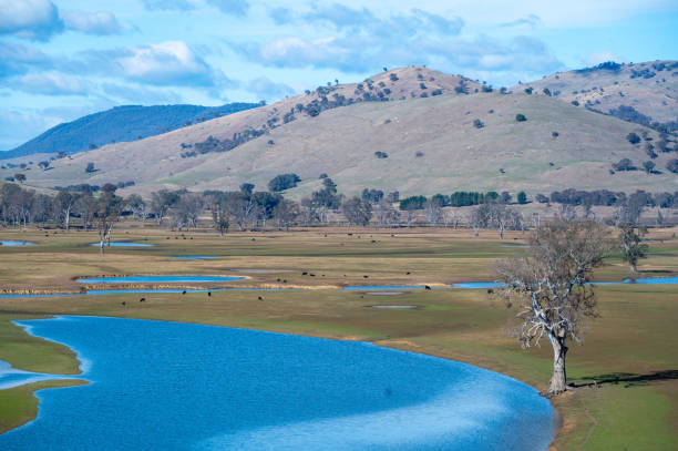 istock Farmland on the Mitta Mitta River 2177508399