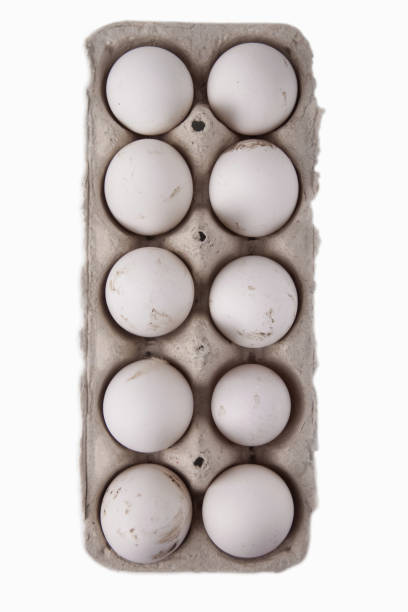 istock A box of white chicken eggs isolated on a white background 2177508876