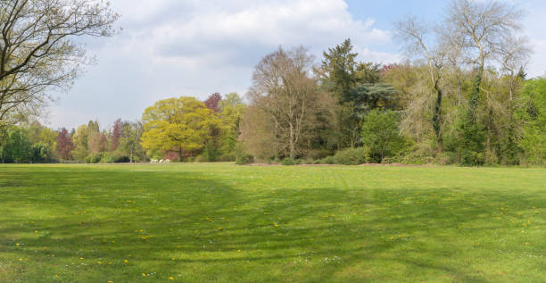 istock Panoramic landscape of a summer meadow. 2177510137