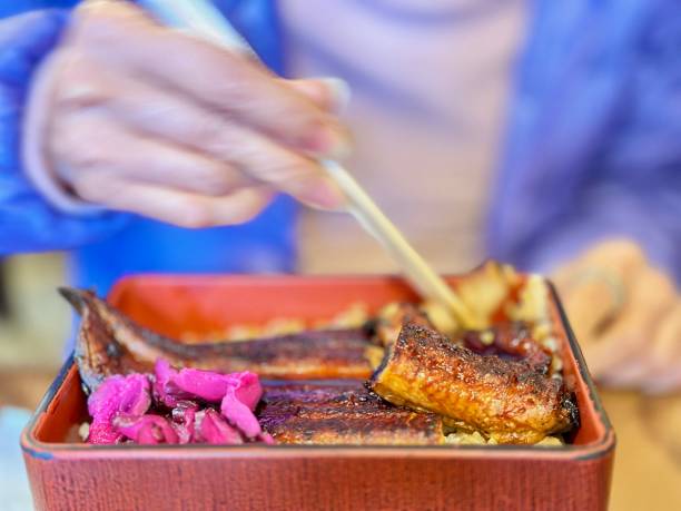 Unagi rice.