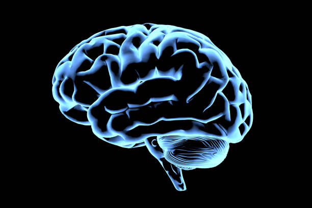 istock Abstract brain hologram. AI brain. Neon brain on dark background. Neurology research, artificial intelligence. Diagnosis of organs. 2177520161