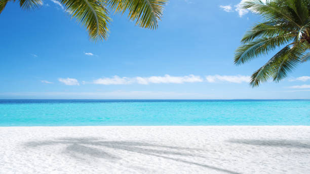 istock Tropical paradise beach scenery for background or wallpaper 2177532939