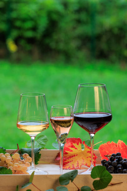 istock Wine glass and grape still life studio shot 2177535918