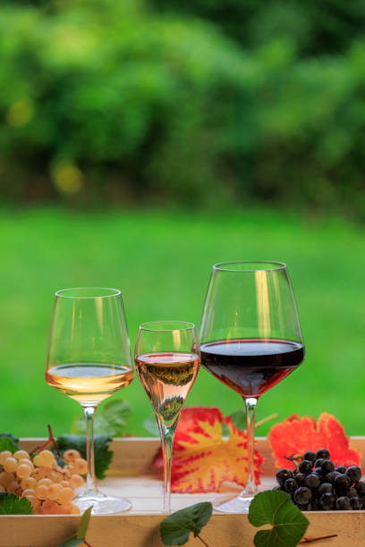 istock Wine glass and grape still life studio shot 2177535953