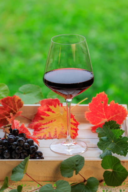 istock Still life red wine glass and grape 2177535960