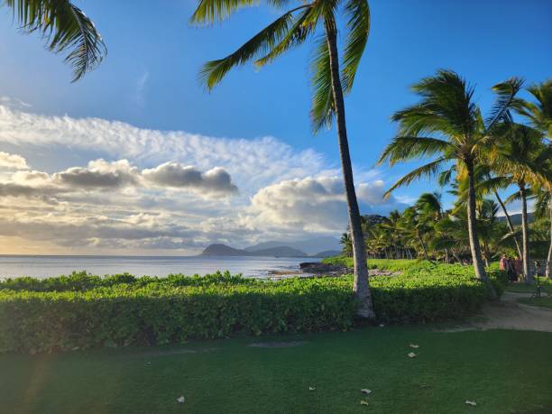 istock Ka'ulua Beach with mangroves, palm and coast 2177536107