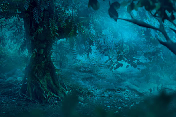 Dark forest with smoke mist fog,  Halloween theme