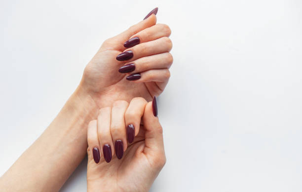 istock Elegant hands with deep purple nails showcasing manicure techniques against a clean white background 2177537546