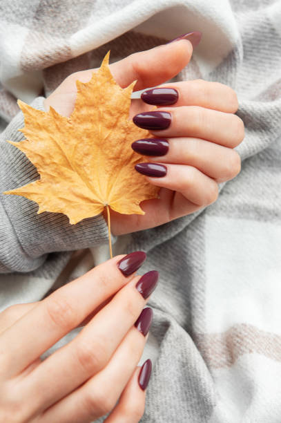 istock A hand holding a vibrant autumn leaf rests on a cozy plaid blanket during a serene fall afternoon 2177537547