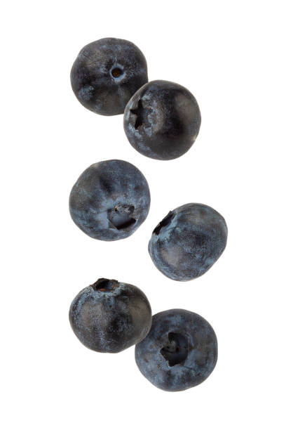 istock Falling Blueberry isolated on white background with clipping path, full depth of field 2177537762