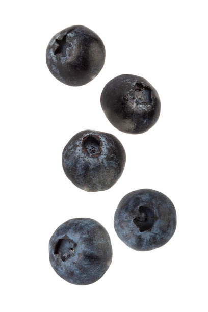 istock Falling Blueberry isolated on white background with clipping path, full depth of field 2177537763