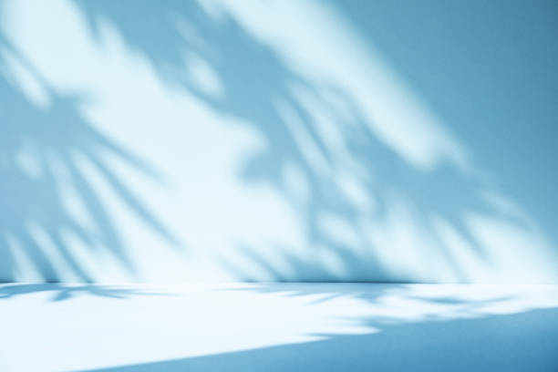 istock Wall interior background, studio, and backdrops show products. with shadow from window color white and blue light. background for text insertion and presentation of product 2177539439