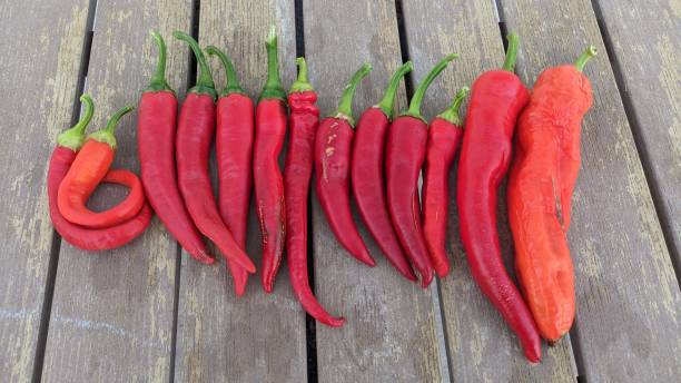 istock Vibrant, Bright Red Chili Peppers Artistically Displayed on Beautiful Wooden Surface 2177540831