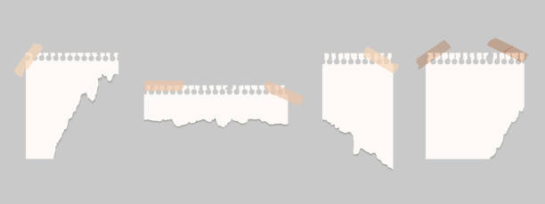 istock torn scraps of paper, note and memo sheets or notebook shred. Paper pieces with ripped edges. Design mockup for social media, web, banner, poster. Vector illustration 2177541221