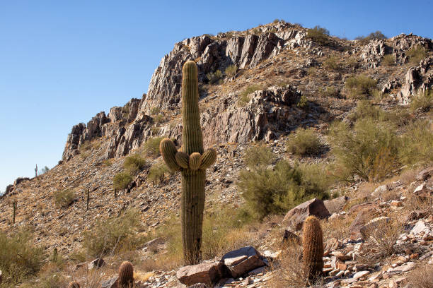 istock Landscape and rock formations on  Piestewa Peak 2177543624