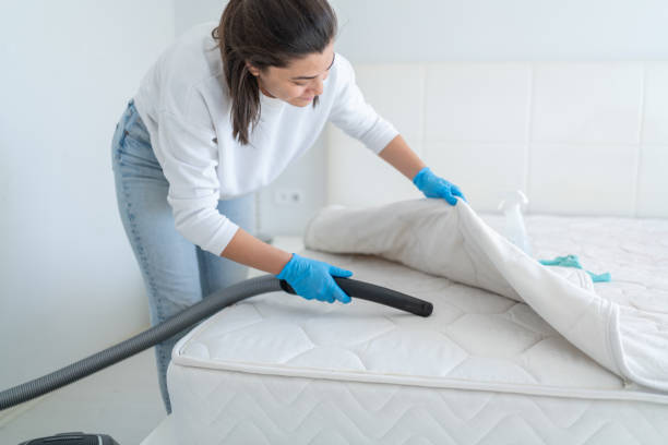 istock Woman Cleaning Bed From Dirt And Bacteria 2177544879