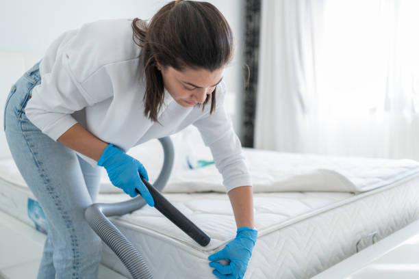 istock Woman Cleaning Bed From Dirt And Bacteria 2177544971