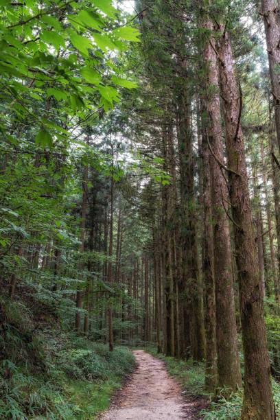 istock Nakasendo hiking trail 2177545332